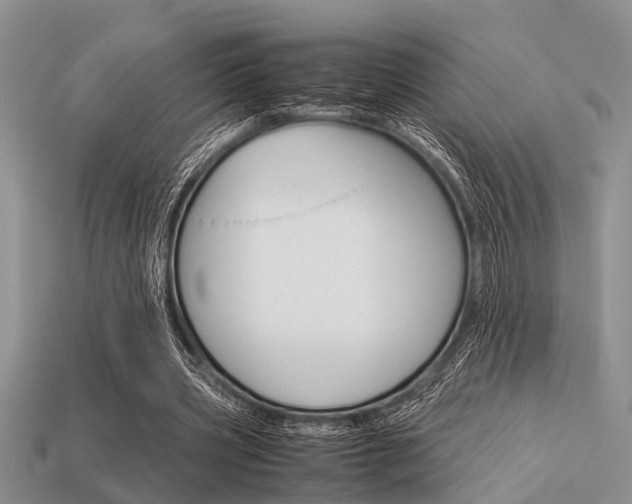 X0000113590533200909181050