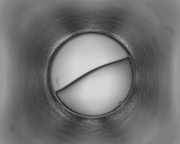 X0000113590535200909181050