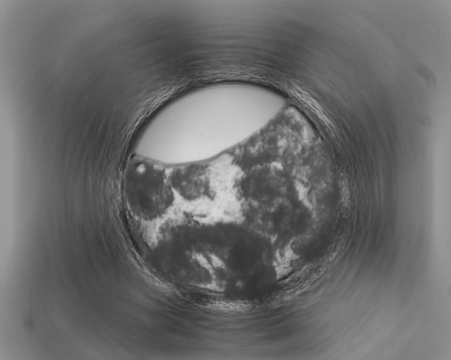 X0000113590537200909181050