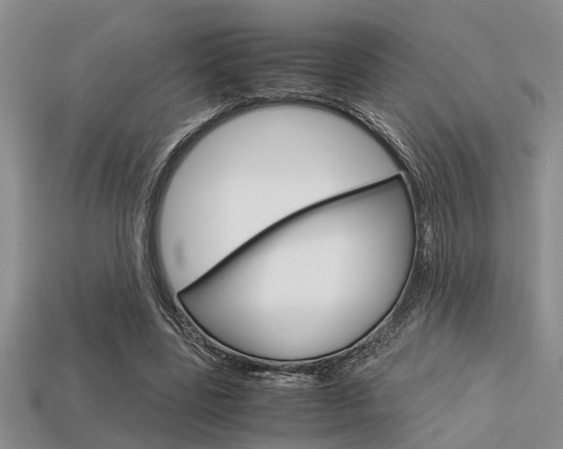 X0000113590539200909181050