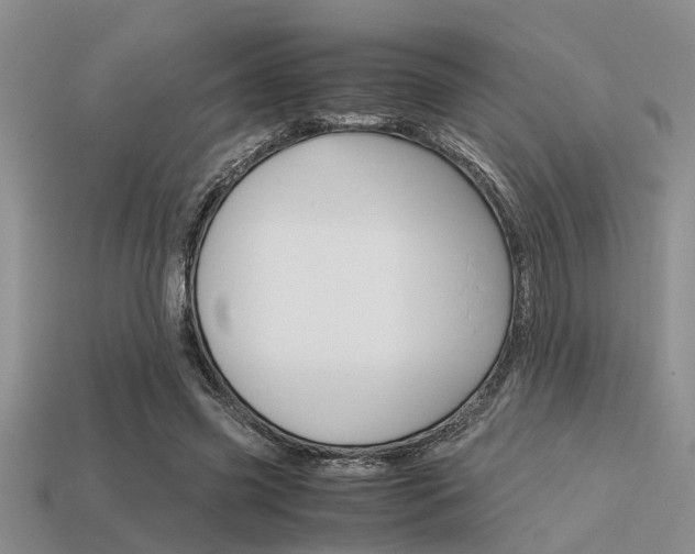 X0000113590541200909181050