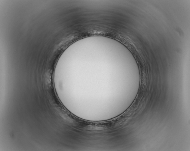 X0000113590545200909181050