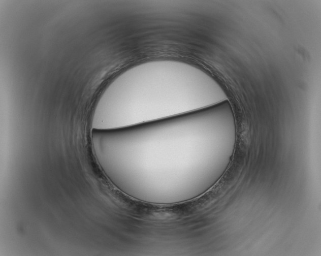 X0000113590547200909181050