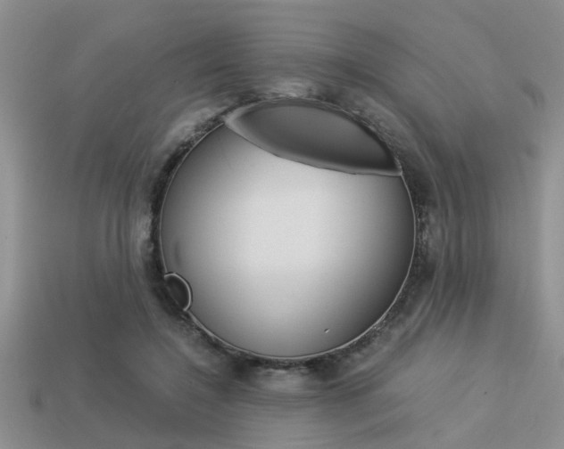 X0000113590548200909181050