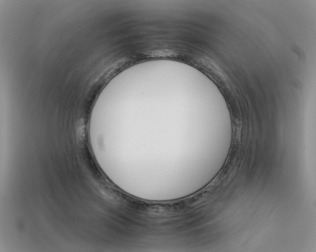 X0000113590549200909181050