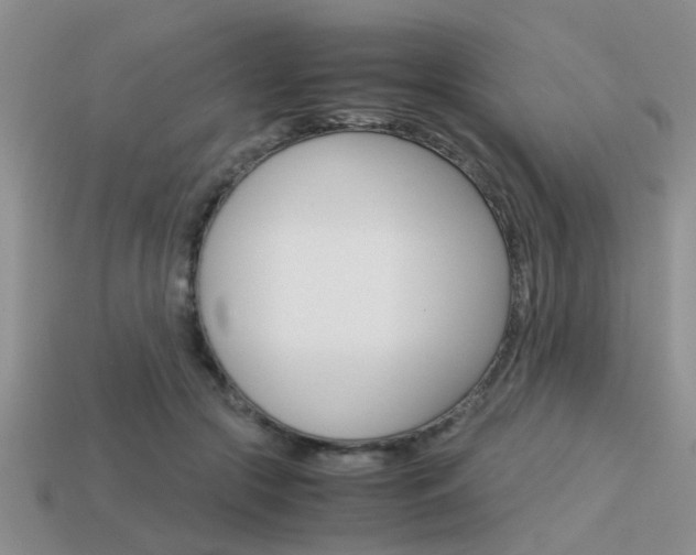 X0000113590553200909181050