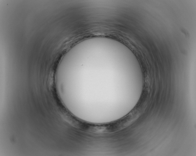 X0000113590554200909181050