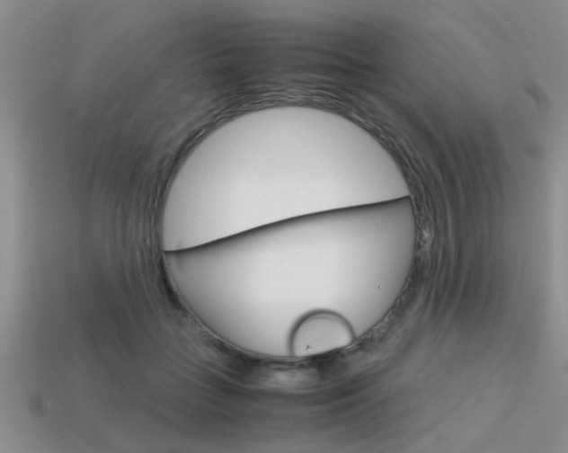 X0000113590555200909181050