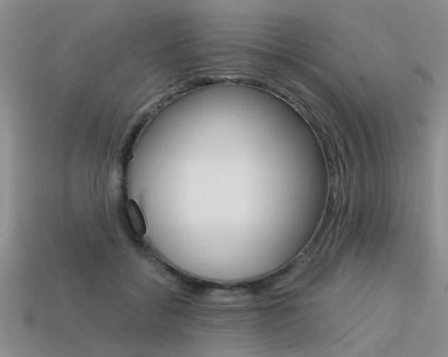X0000113590556200909181050