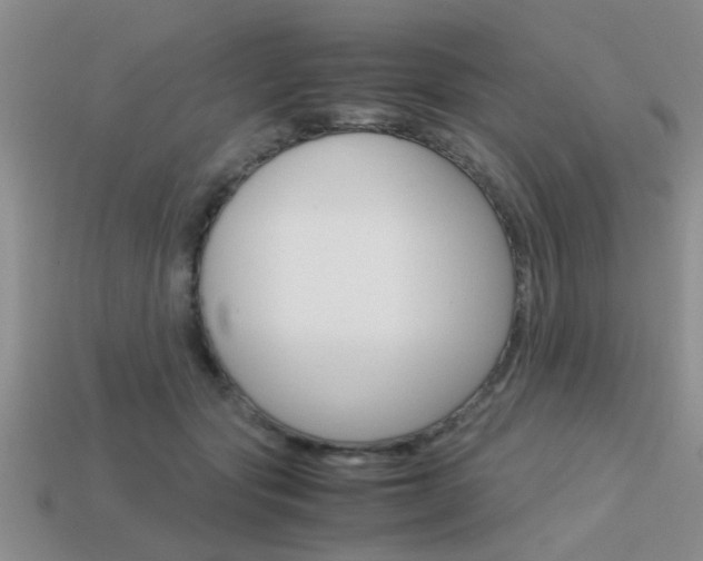 X0000113590557200909181050