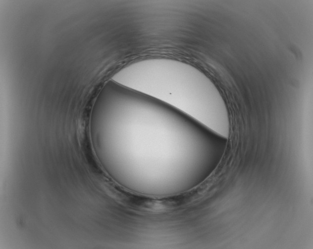X0000113590558200909181050