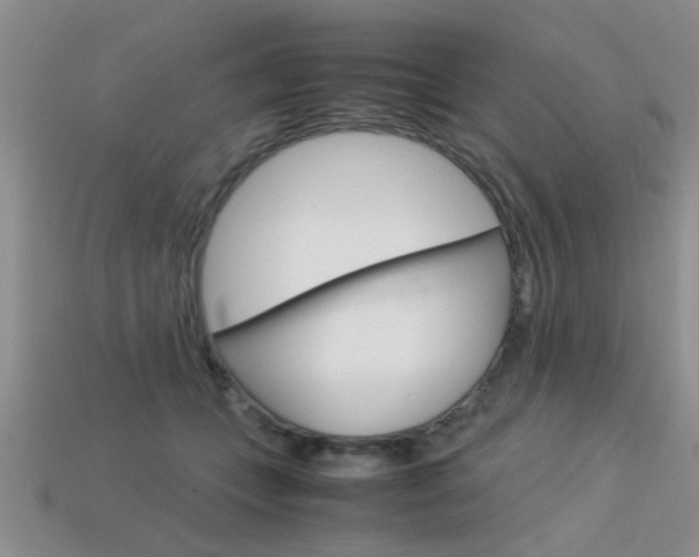 X0000113590559200909181050