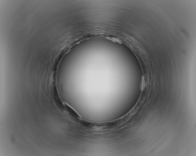 X0000113590560200909181050