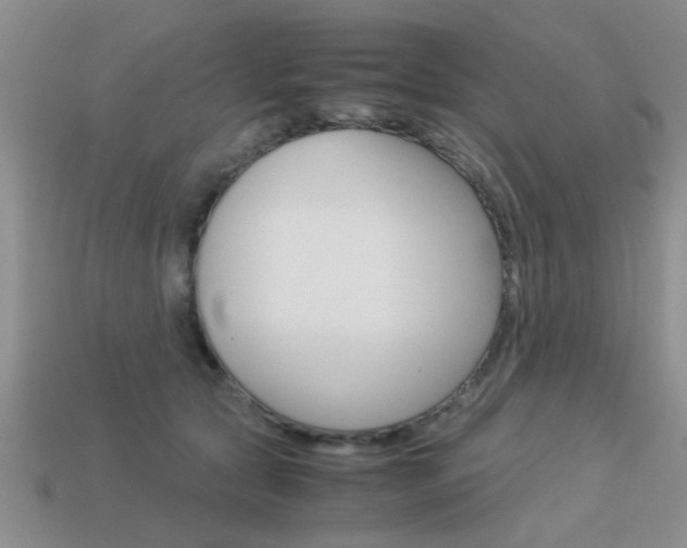 X0000113590561200909181050