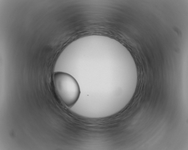 X0000113590562200909181050