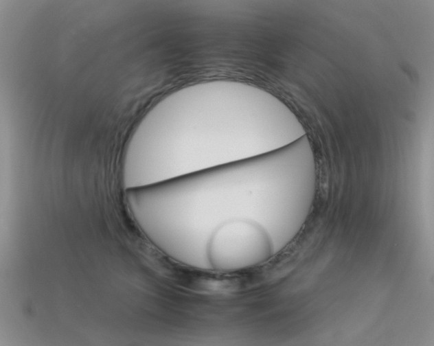 X0000113590563200909181050
