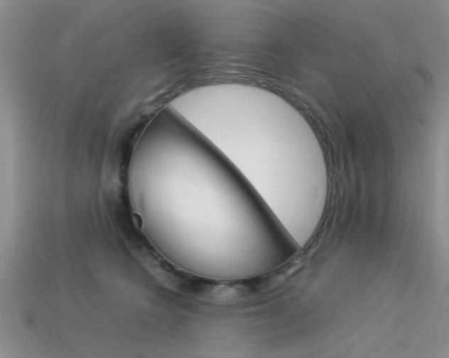 X0000113590566200909181050