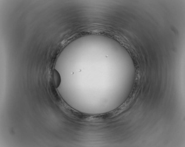 X0000113590568200909181050
