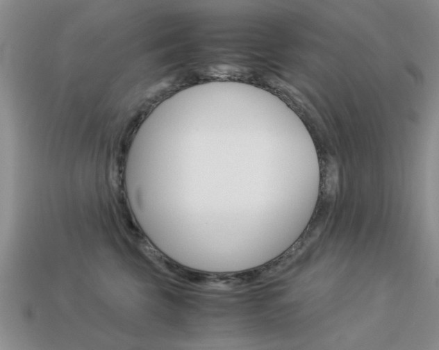 X0000113590569200909181050
