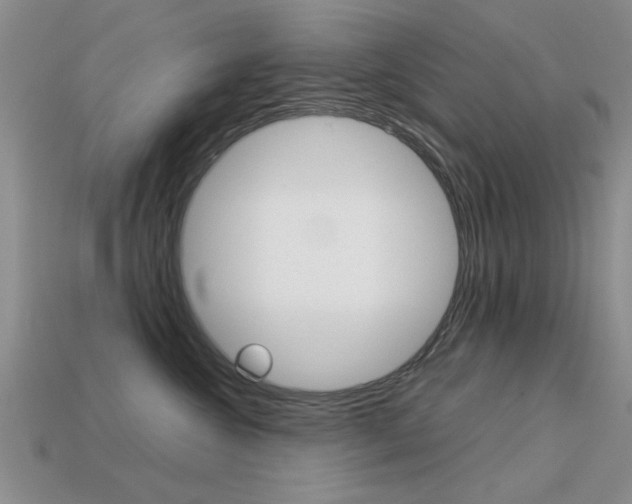 X0000113590572200909181050
