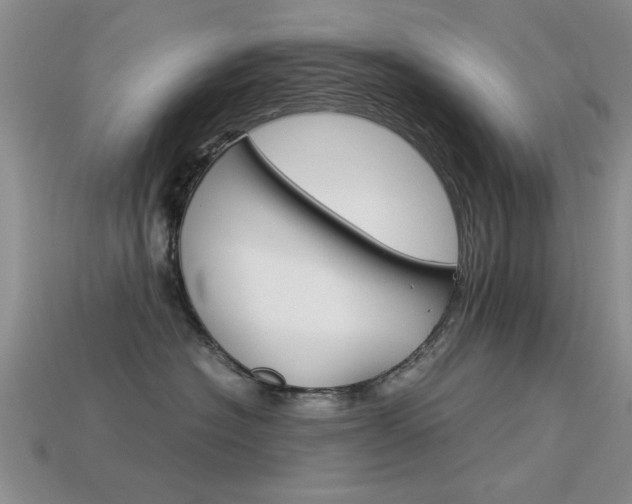 X0000113590574200909181050