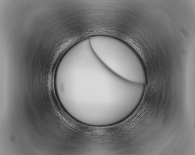 X0000113590578200909181050