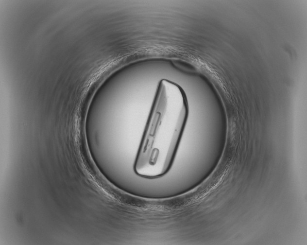 X0000113590581200909181050