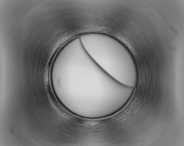 X0000113590582200909181050