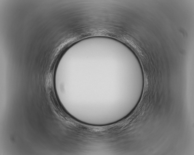 X0000113590583200909181050