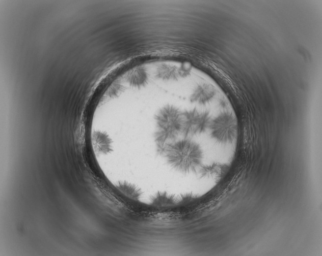 X0000113590584200909181050