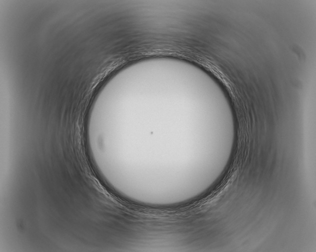 X0000113590585200909181050