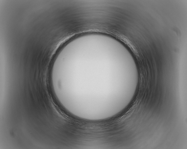 X0000113590588200909181050
