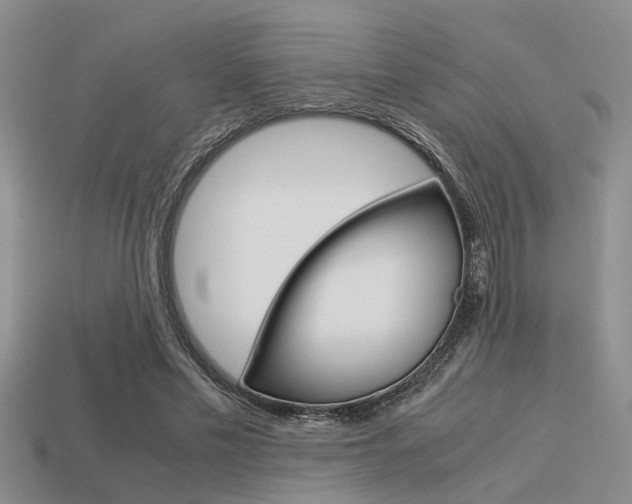 X0000113590589200909181050