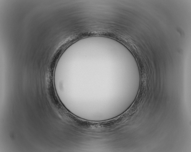 X0000113590591200909181050
