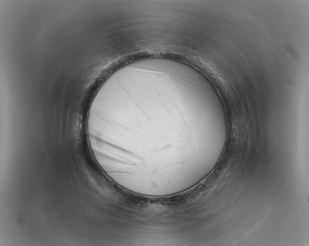 X0000113590592200909181050