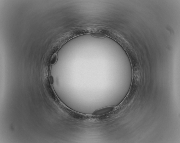 X0000113590593200909181050