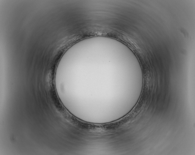 X0000113590594200909181050