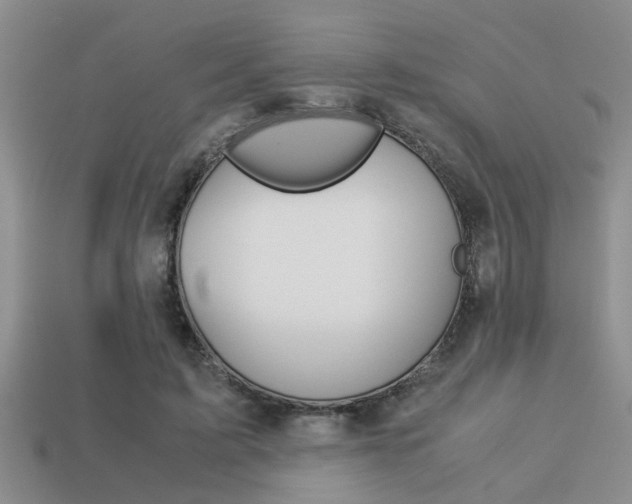 X0000113590595200909181050