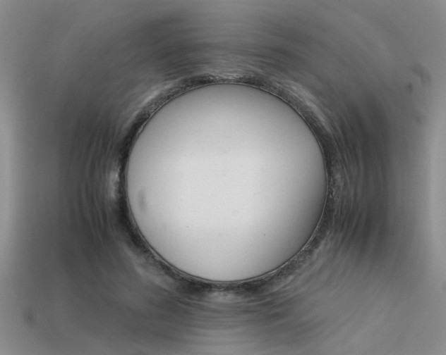 X0000113590596200909181050