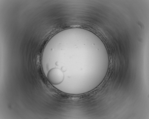 X0000113590598200909181049