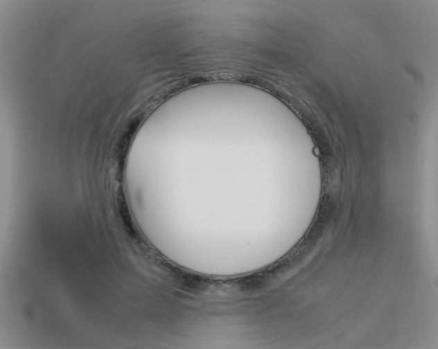 X0000113590599200909181049