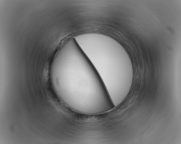 X0000113590600200909181049