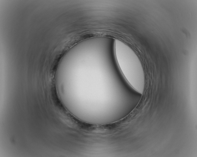 X0000113590601200909181049