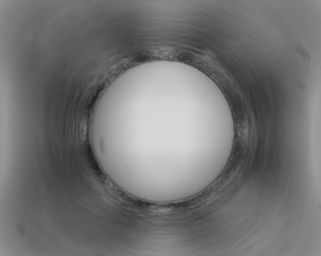 X0000113590602200909181049