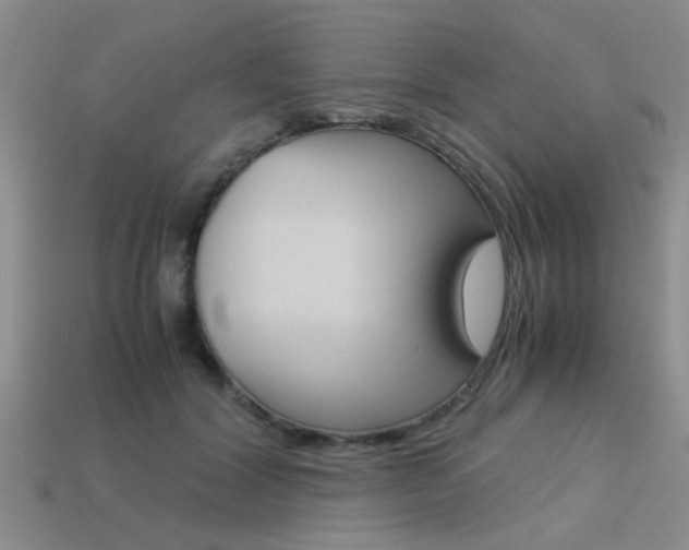 X0000113590604200909181049