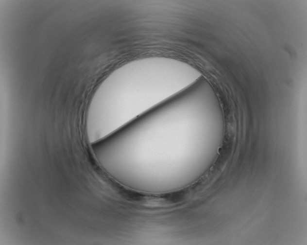 X0000113590605200909181049