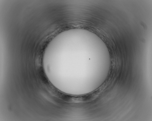X0000113590606200909181049