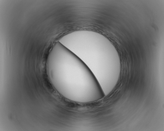 X0000113590608200909181049