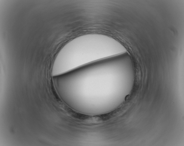 X0000113590609200909181049