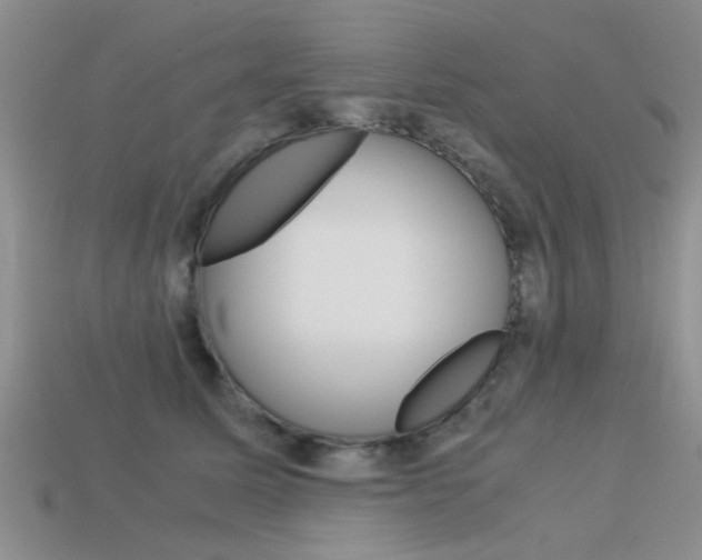 X0000113590611200909181049